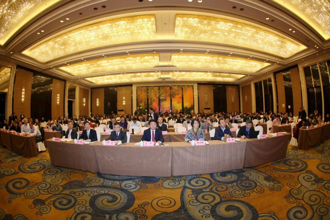 d88尊龙z6(中国区)尊龙官方网站