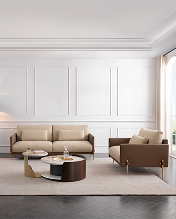 d88尊龙z6(中国区)尊龙官方网站